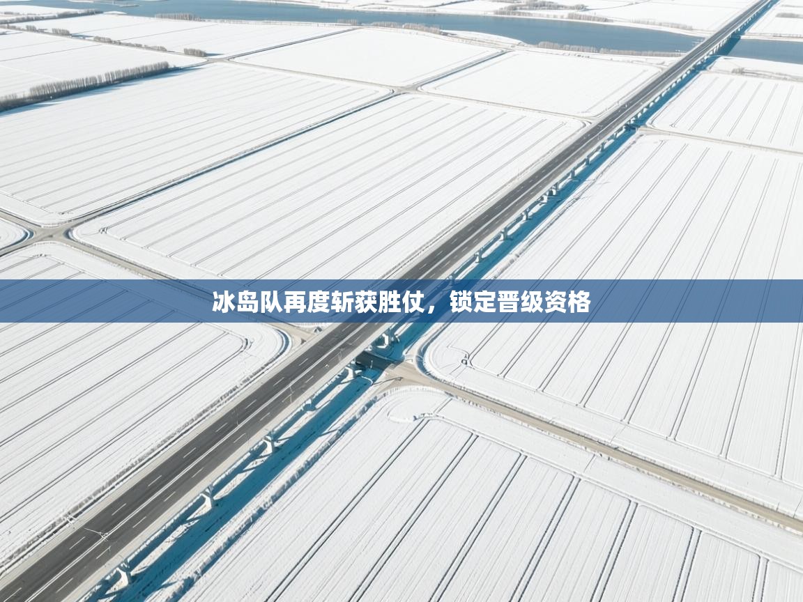 冰岛队再度斩获胜仗，锁定晋级资格  第1张