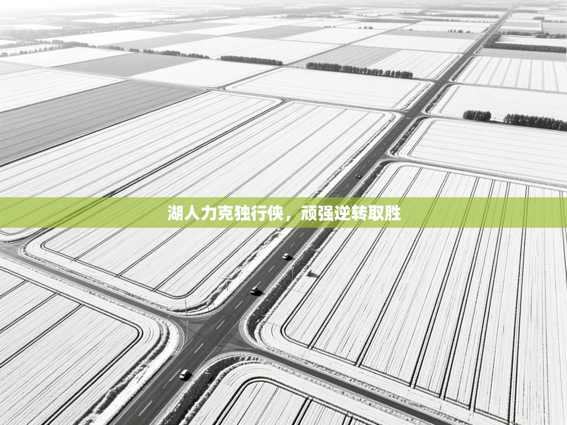 湖人力克独行侠，顽强逆转取胜  第1张