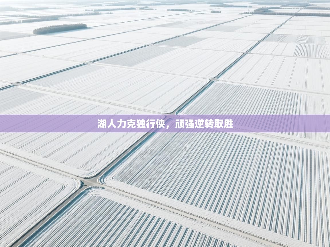 湖人力克独行侠，顽强逆转取胜  第2张