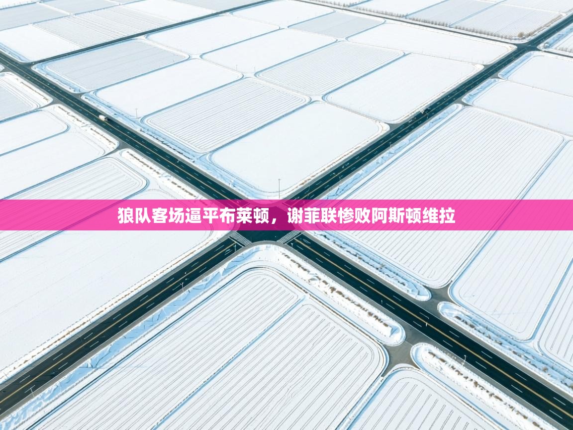 狼队客场逼平布莱顿，谢菲联惨败阿斯顿维拉  第1张