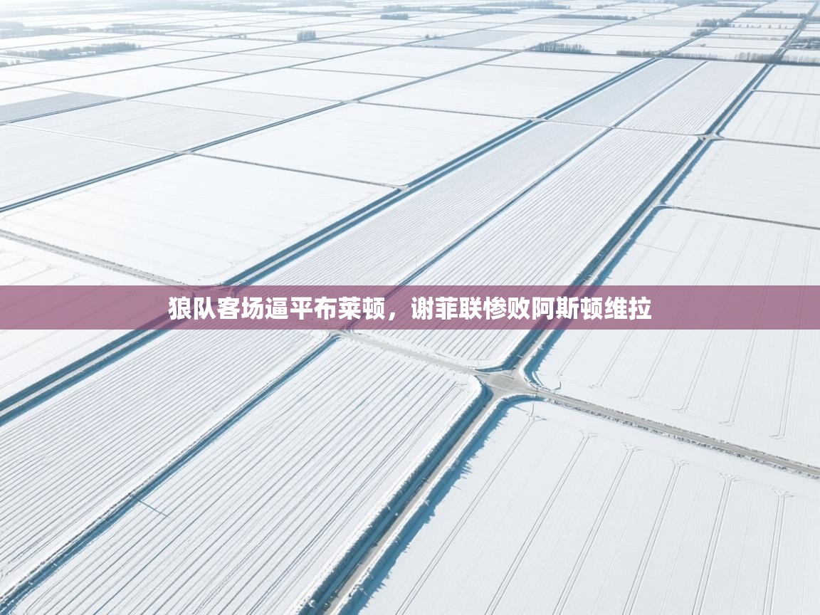 狼队客场逼平布莱顿，谢菲联惨败阿斯顿维拉  第2张