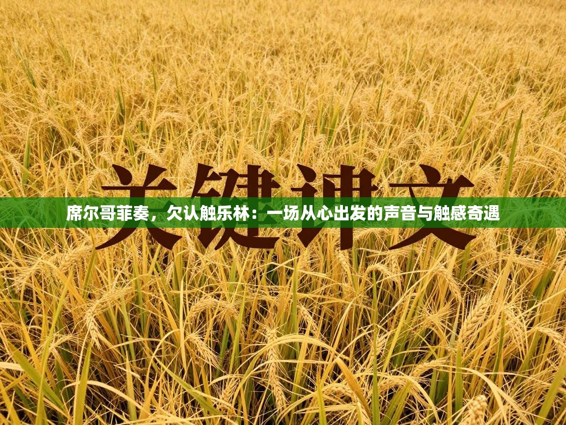 席尔哥菲奏，欠认触乐林：一场从心出发的声音与触感奇遇  第1张